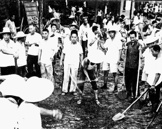 1765868532120429.jpg 1-2.jpg